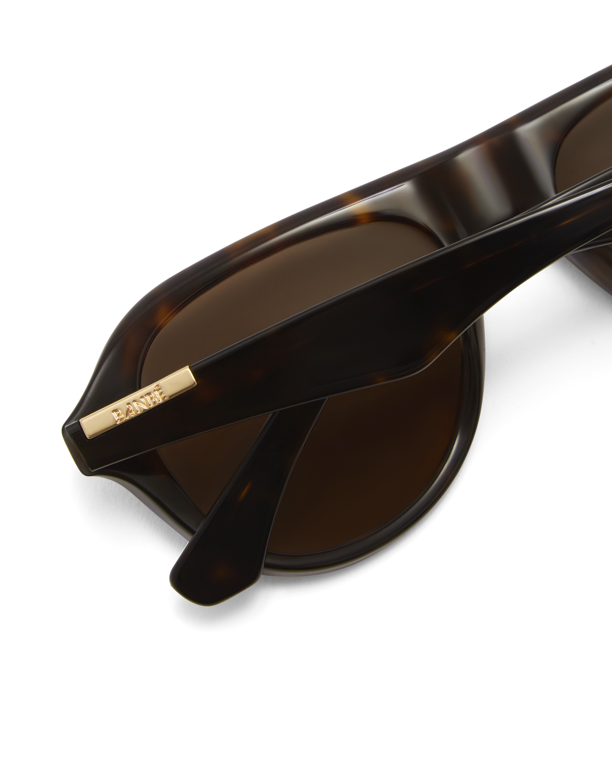THE RILEY - HAVANA TORT-CHOCOLATE-SUNGLASSES | Billini